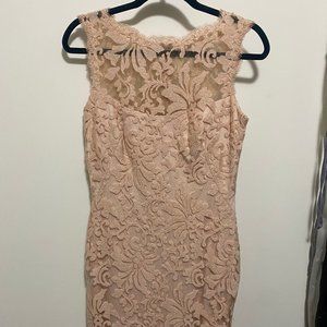 Nude Lace Sheath Dress